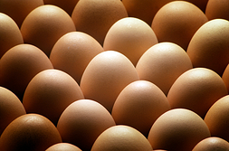 eggs_422x279