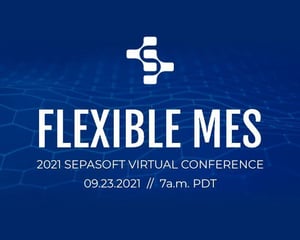 Flexible MES_Social and Web Page