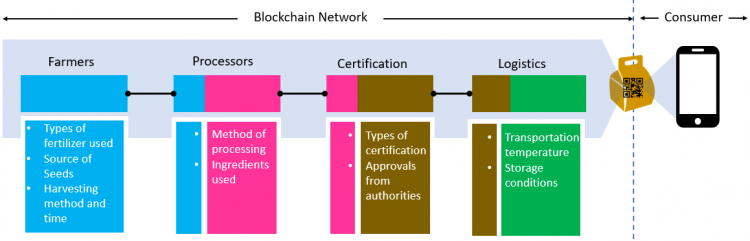 blockchain-network-picture-3-750x241